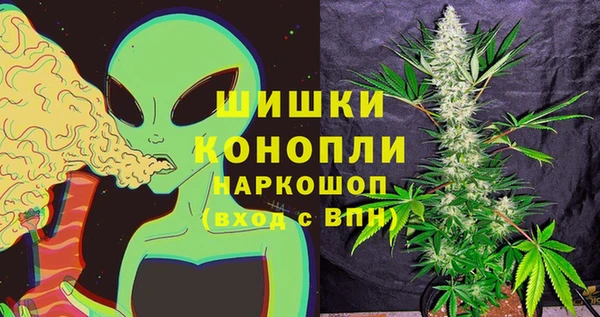 Альфа ПВП Елизово