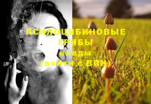 гашиш Дмитриев
