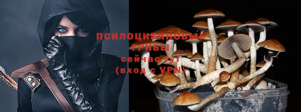 Альфа ПВП Елизово
