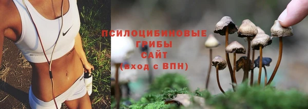 крисы Елабуга