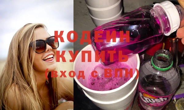 крисы Елабуга
