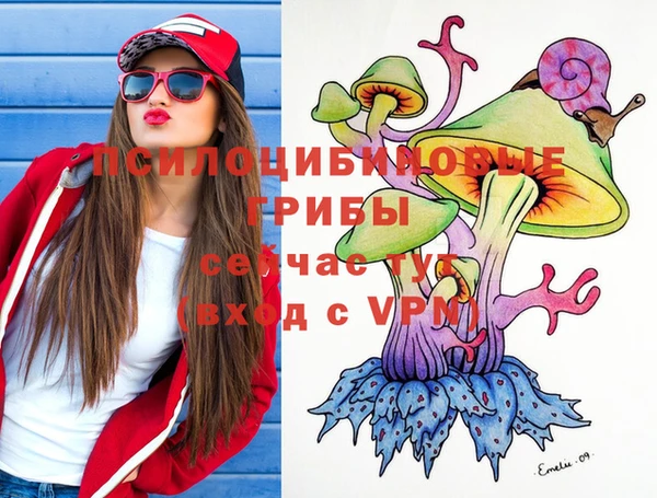 прущая мука Дмитров