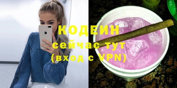 крисы Елабуга