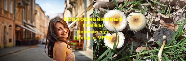 Альфа ПВП Елизово