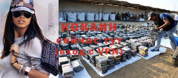 mdpv Ельня