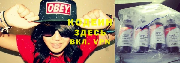 mdpv Ельня
