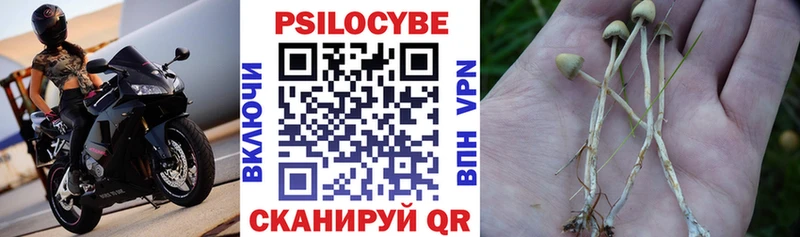 Галлюциногенные грибы мухоморы  где продают наркотики  Псков 